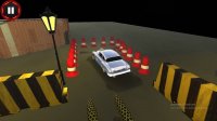 Precision Parking Challenges
