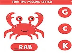 Find the Missing Letter Puzzle Game